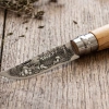 Nóż Opinel No 8 z grawerem grzybów – drewno oliwne
